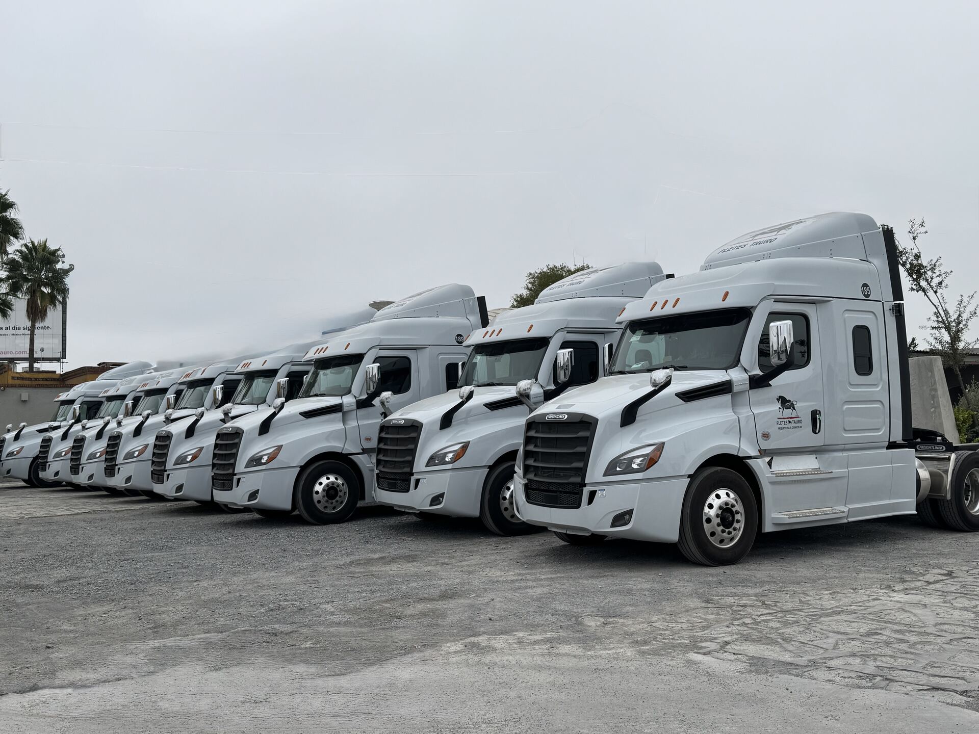 Flota de tractocamiones Freightliner de Fletes Tauro